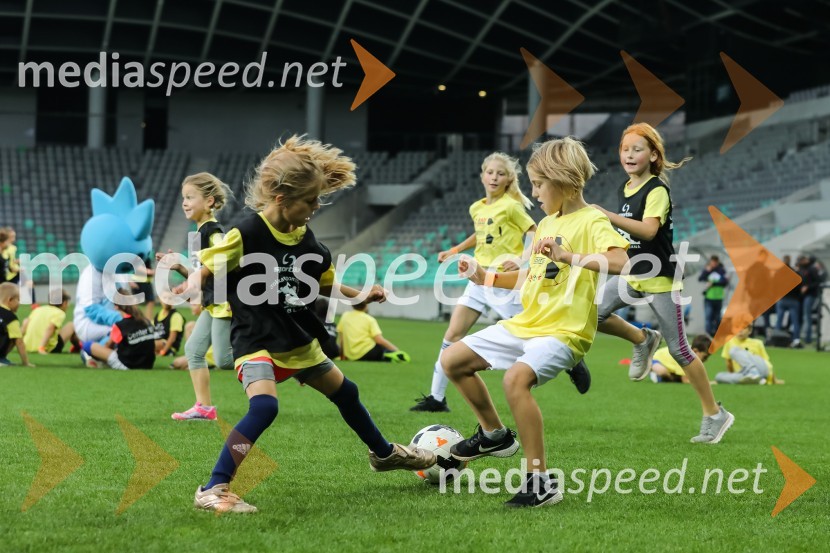 Dobrodelni dogodek Fundacije Miroslava Cerarja