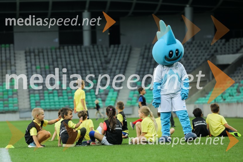 Dobrodelni dogodek Fundacije Miroslava Cerarja