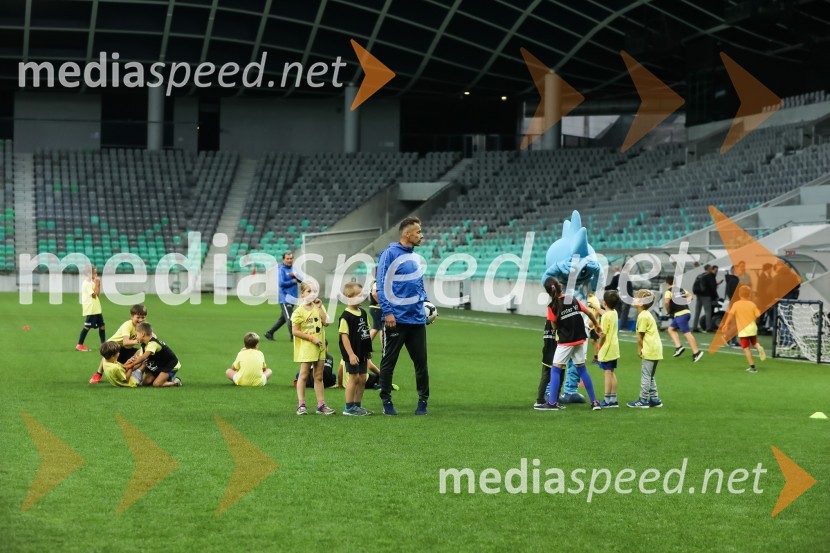 Dobrodelni dogodek Fundacije Miroslava Cerarja