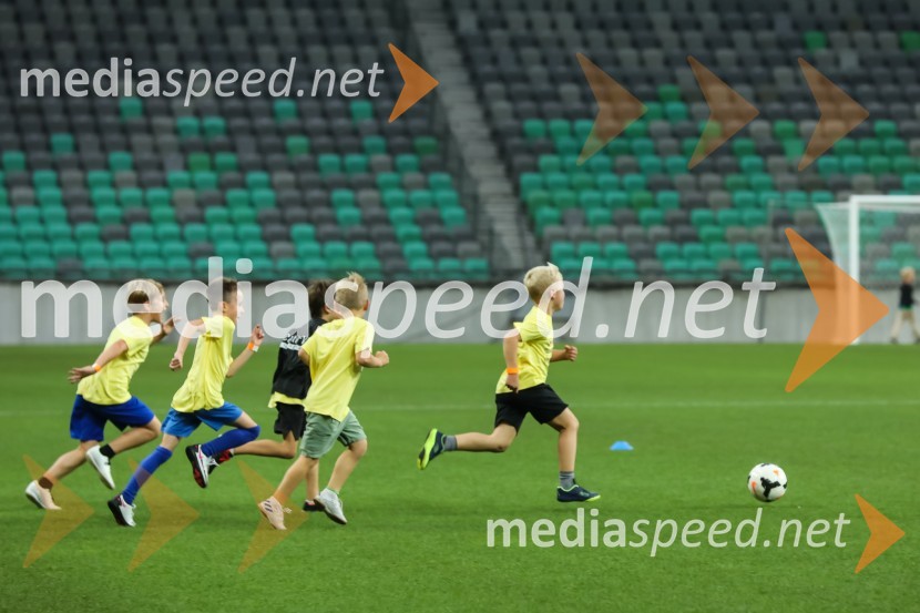 Dobrodelni dogodek Fundacije Miroslava Cerarja