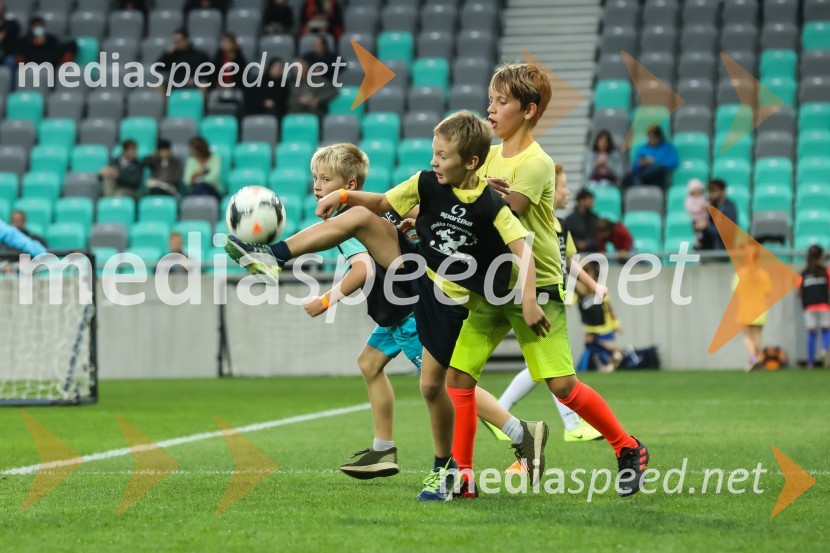 Dobrodelni dogodek Fundacije Miroslava Cerarja