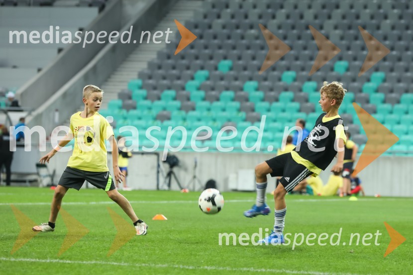 Dobrodelni dogodek Fundacije Miroslava Cerarja