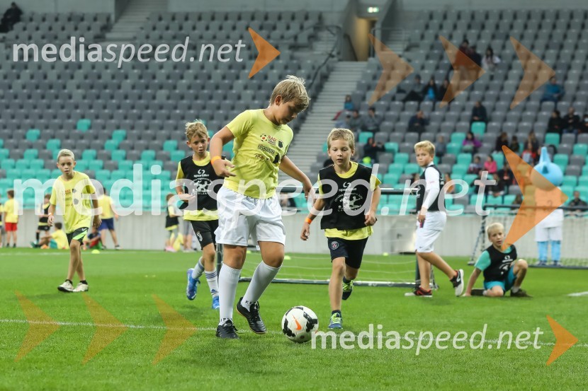 Dobrodelni dogodek Fundacije Miroslava Cerarja