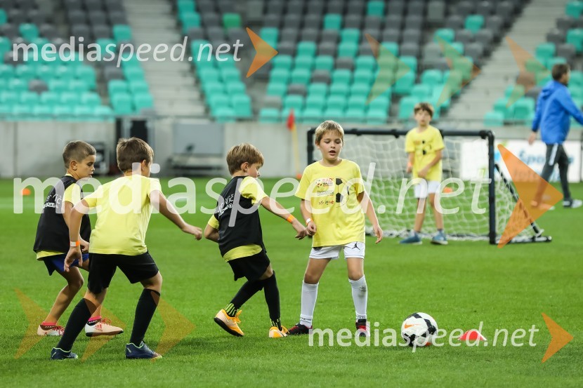 Dobrodelni dogodek Fundacije Miroslava Cerarja