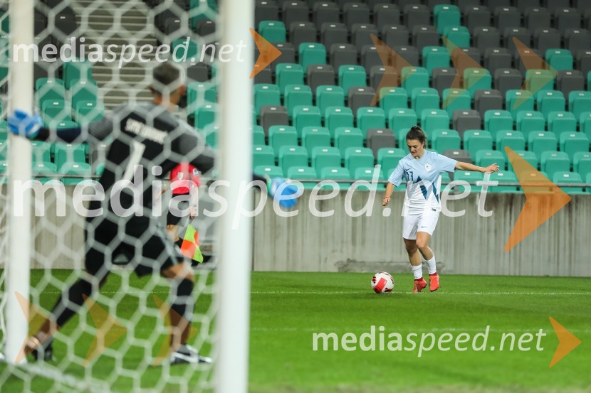 Dobrodelni dogodek Fundacije Miroslava Cerarja