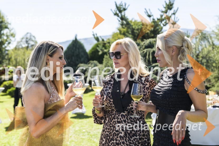  Gordana Grandošek Whiddon, plesalka, lastnica blagovne znamke GGW;  Andreja  Medvedič, lastnica in direktorica Sense Wellness Cluba;  Carmen OsovnikarEkskluzivno druženje z Vražjimi damami