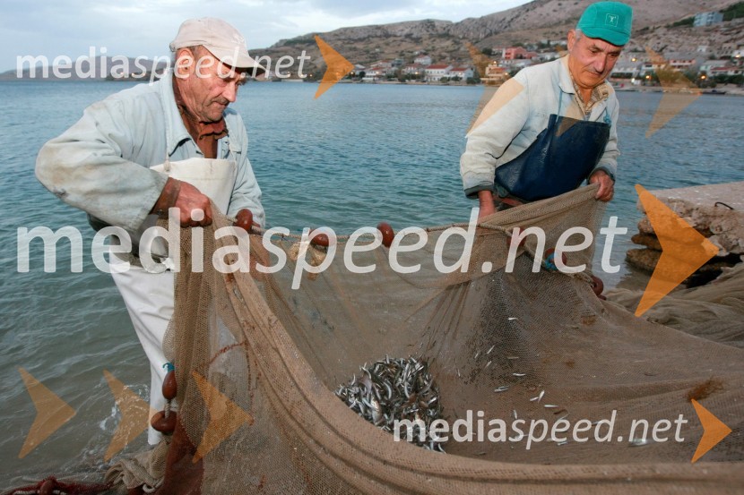 RibičaRibiči, otok Pag, Hrvaška