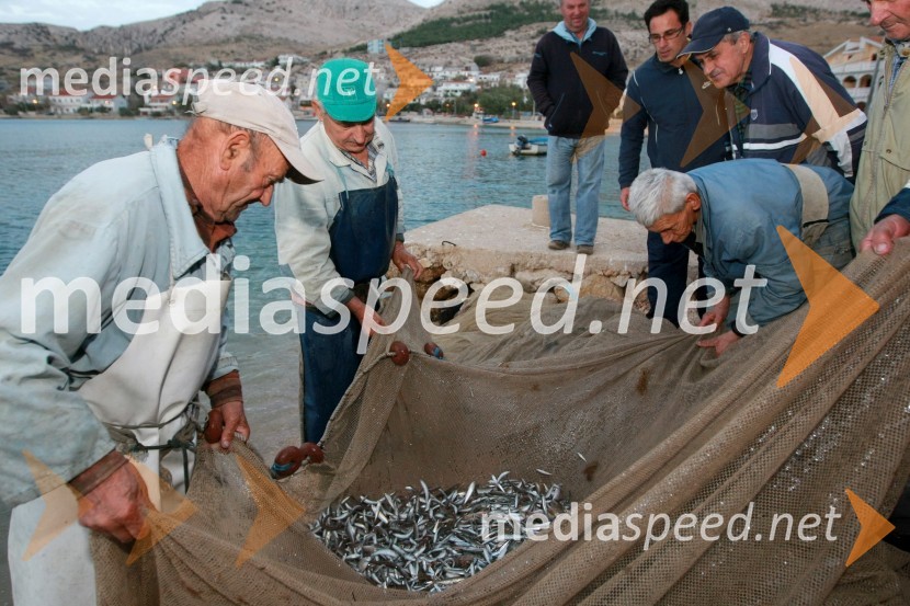 RibičiRibiči, otok Pag, Hrvaška