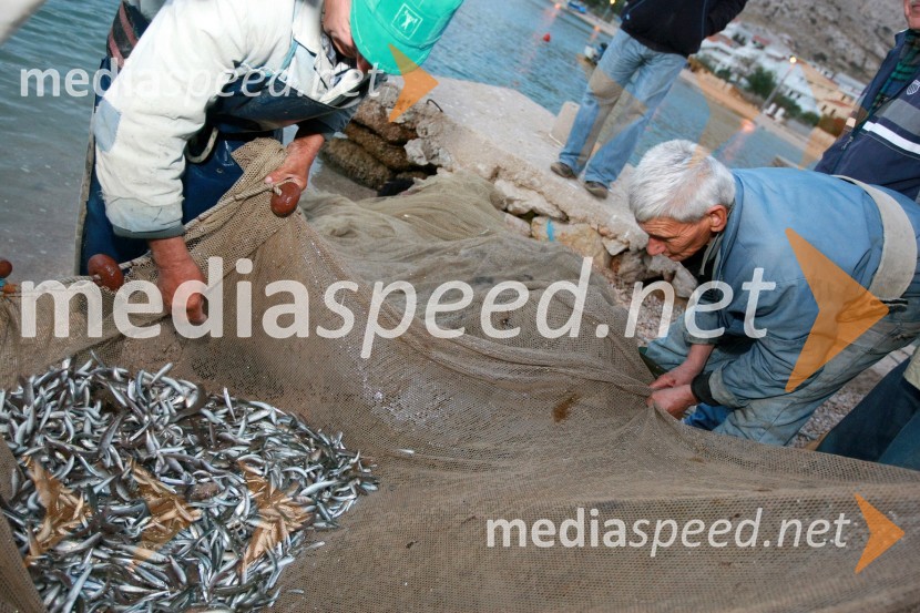 RibičiRibiči, otok Pag, Hrvaška