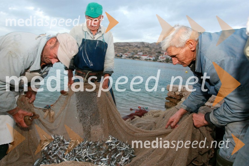 RibičiRibiči, otok Pag, Hrvaška