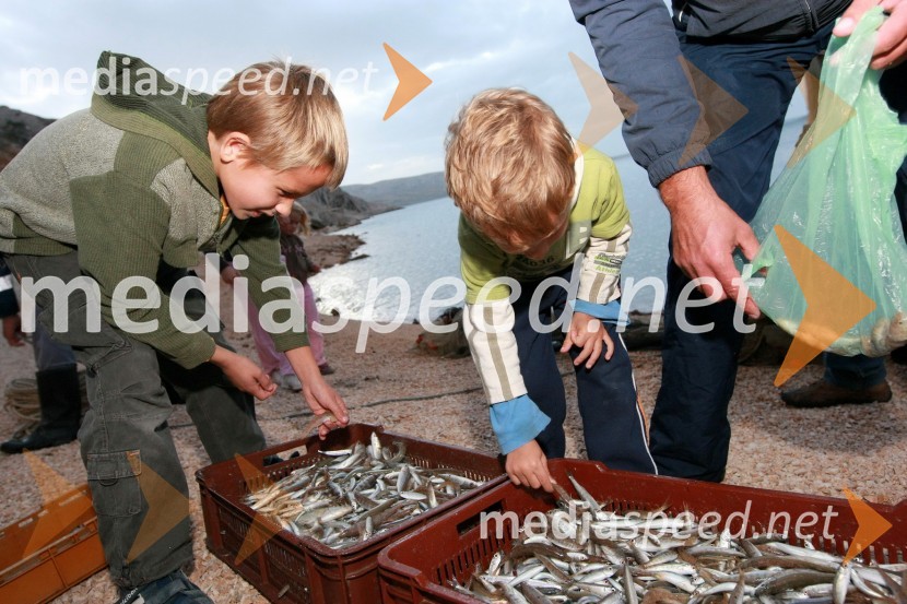 UlovRibiči, otok Pag, Hrvaška