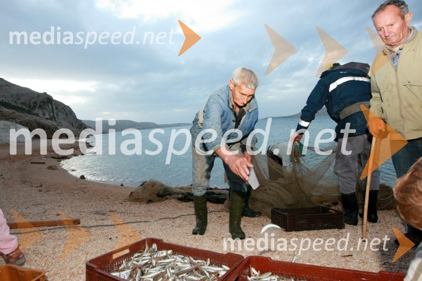 RibičiRibiči, otok Pag, Hrvaška