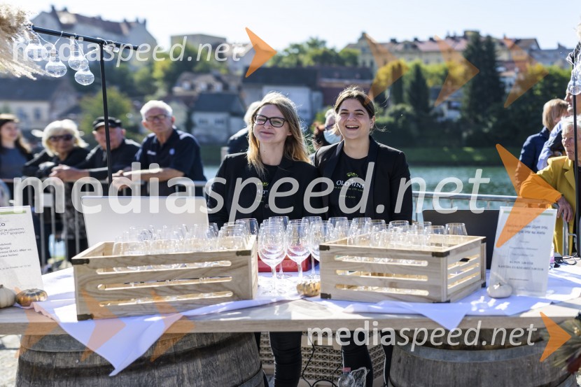 35. Svečana trgatev Stare trte