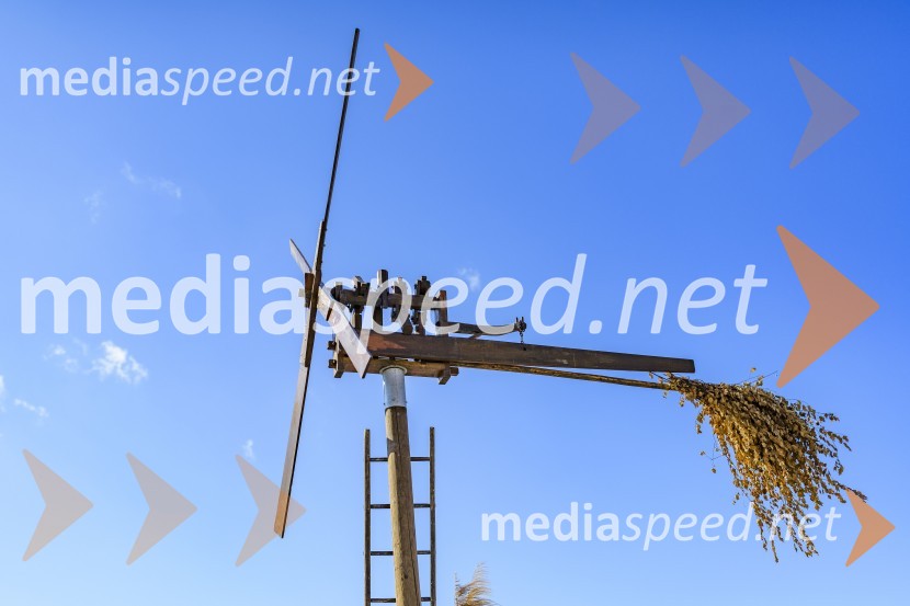 35. Svečana trgatev Stare trte