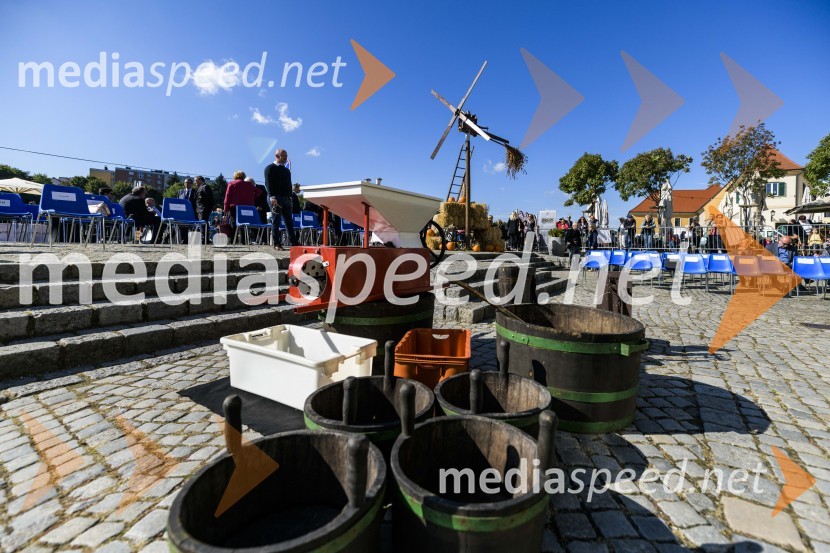 35. Svečana trgatev Stare trte