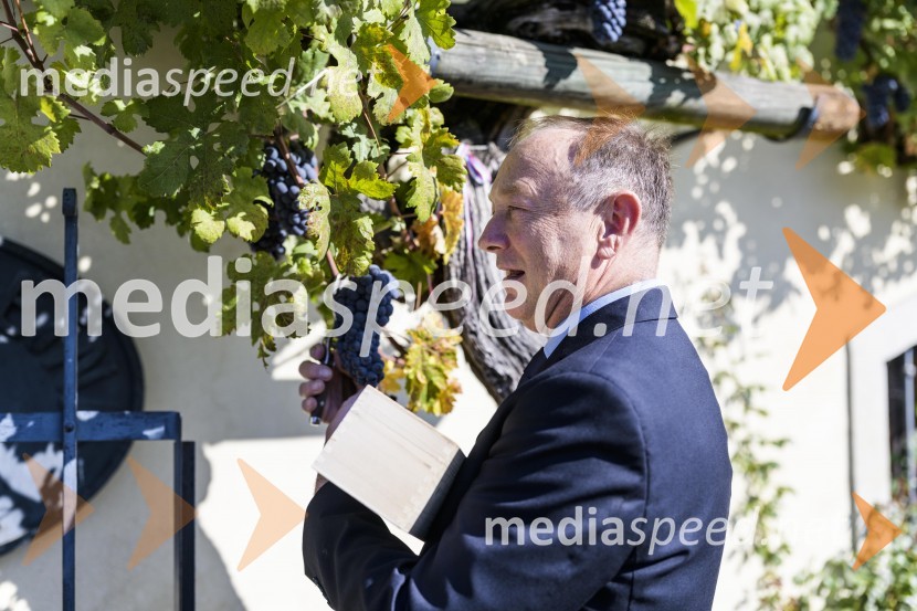 35. Svečana trgatev Stare trte