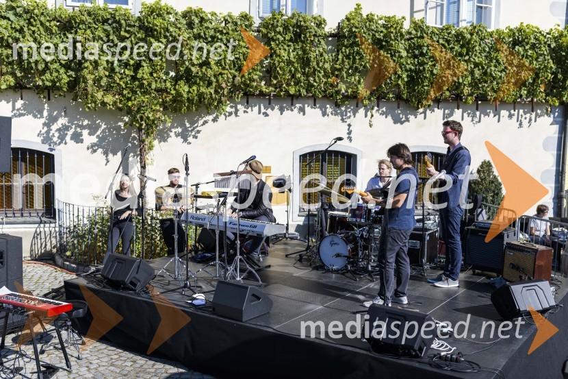 35. Svečana trgatev Stare trte