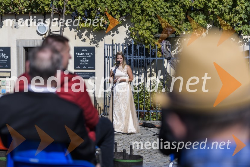  Ana Pavlin, 24. vinska kraljica Slovenije35. Svečana trgatev Stare trte