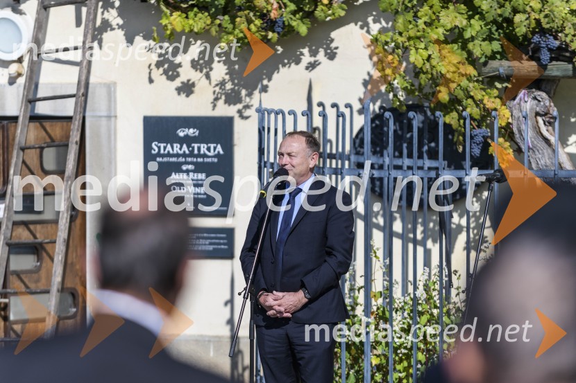  Stane Kocutar, mestni viničar, skrbnik Stare trte, novinar Radia Maribor, zgodovinar35. Svečana trgatev Stare trte