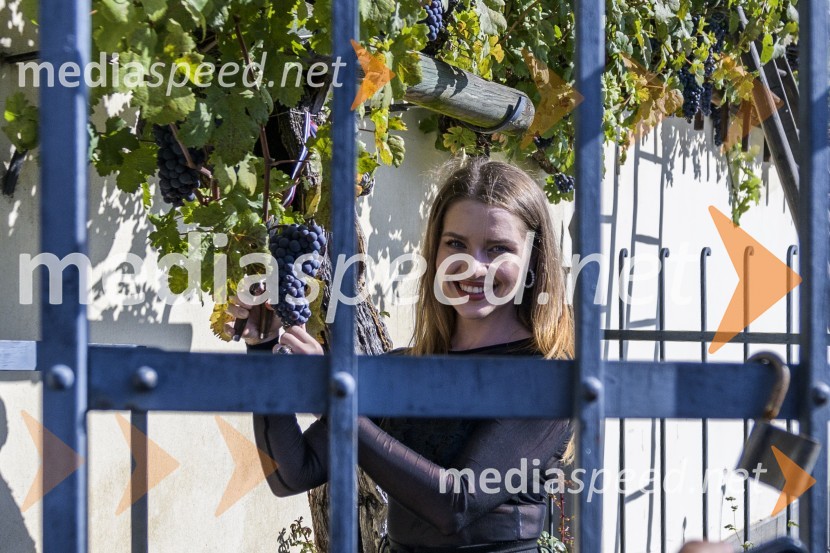  Maja Keuc, pevka35. Svečana trgatev Stare trte