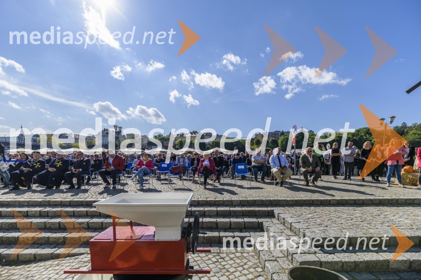 35. Svečana trgatev Stare trte