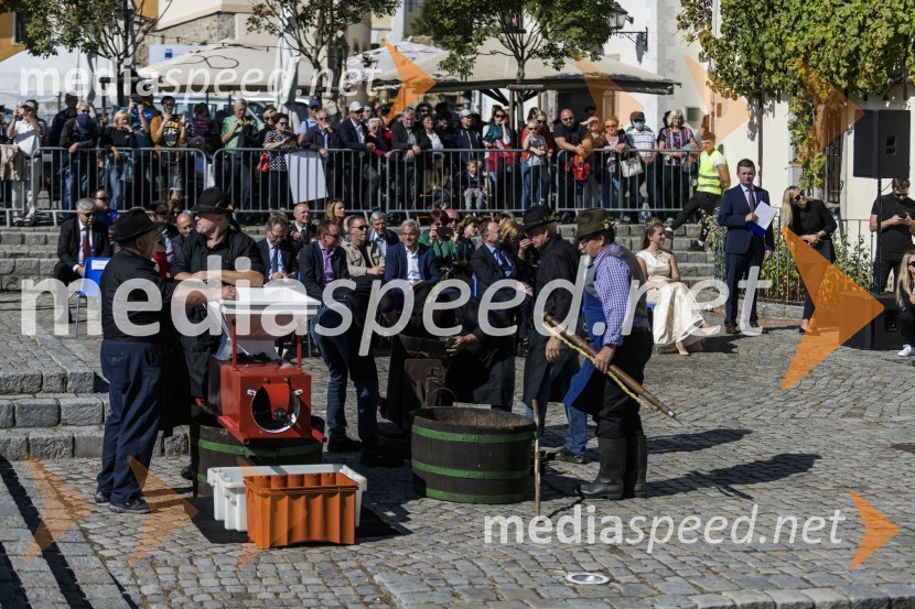 35. Svečana trgatev Stare trte