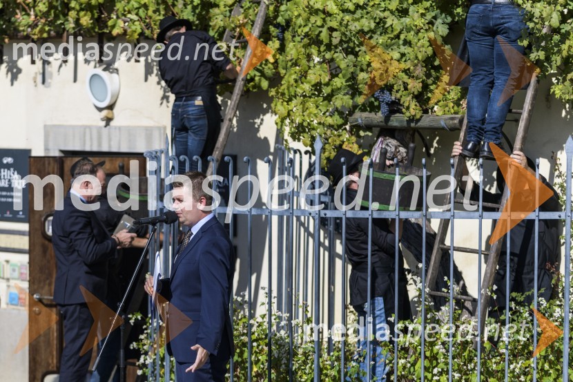 35. Svečana trgatev Stare trte