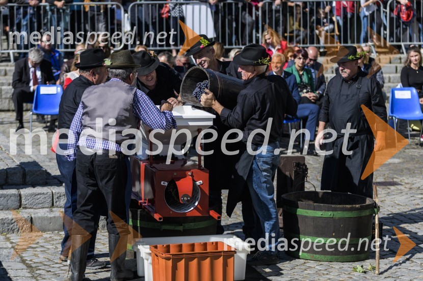 35. Svečana trgatev Stare trte
