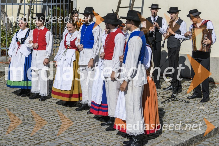35. Svečana trgatev Stare trte