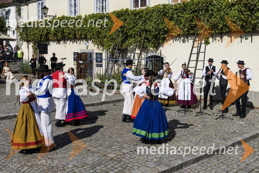 35. Svečana trgatev Stare trte