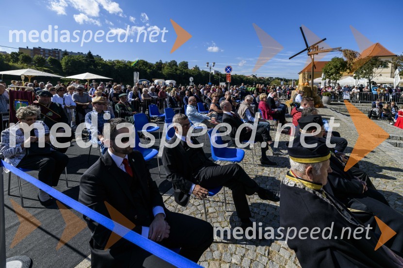 35. Svečana trgatev Stare trte