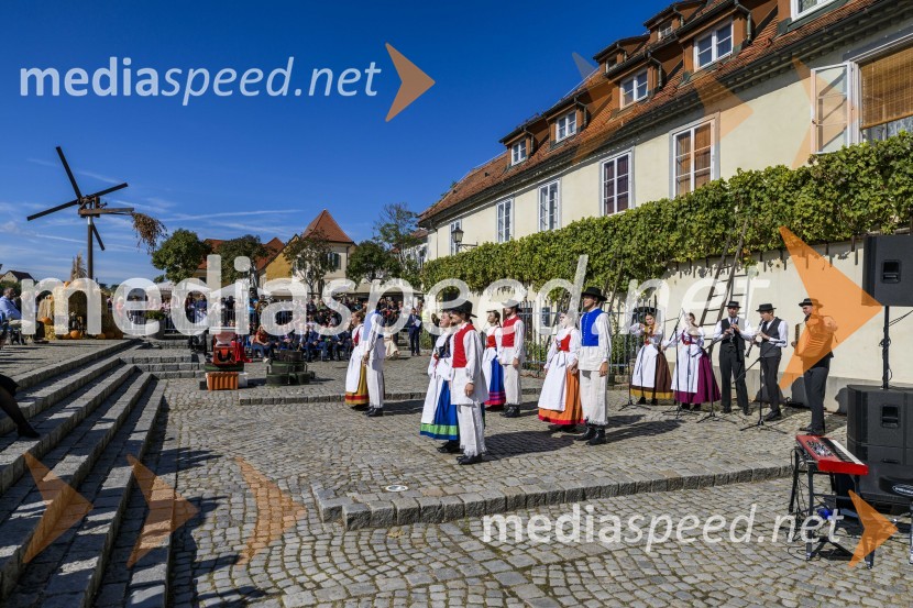 35. Svečana trgatev Stare trte