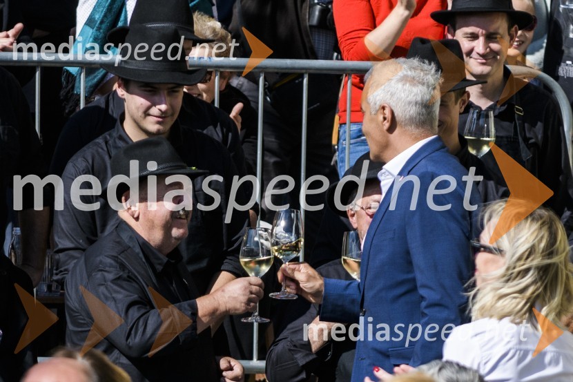 35. Svečana trgatev Stare trte