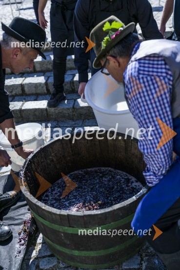  Alojz  Jenuš - Slavek, outar in brač iz Malečnika35. Svečana trgatev Stare trte