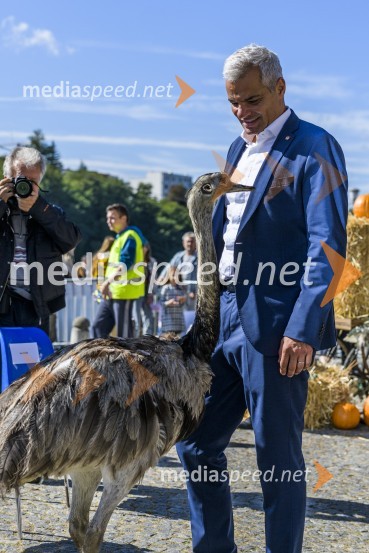  Saša Arsenovič, župan občine Maribor, podjetnik35. Svečana trgatev Stare trte