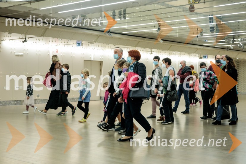 Nanine pesmi, glasbeno-plesna predstava