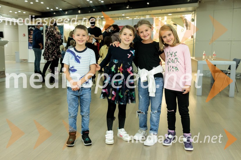 Nanine pesmi, glasbeno-plesna predstava