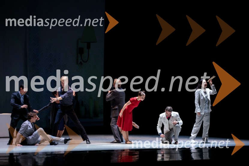 Nanine pesmi, glasbeno-plesna predstava