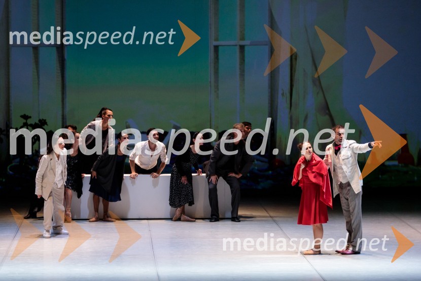 Nanine pesmi, glasbeno-plesna predstava