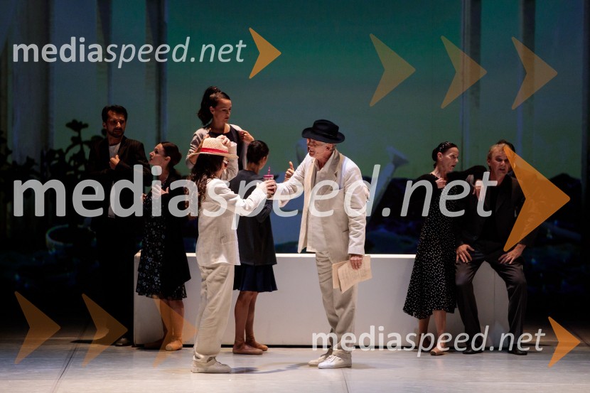 Nanine pesmi, glasbeno-plesna predstava