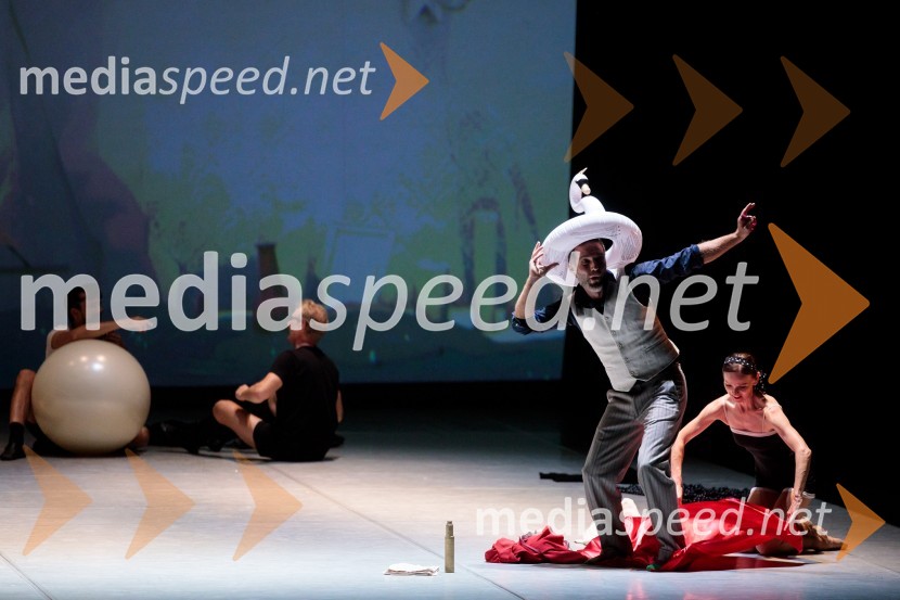 Nanine pesmi, glasbeno-plesna predstava