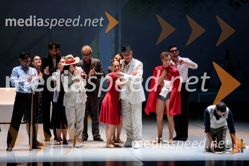 Nanine pesmi, glasbeno-plesna predstava