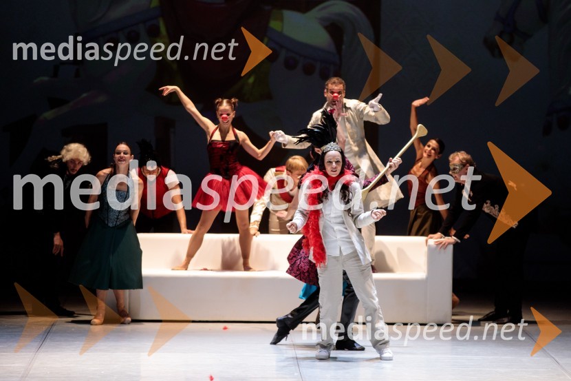 Nanine pesmi, glasbeno-plesna predstava