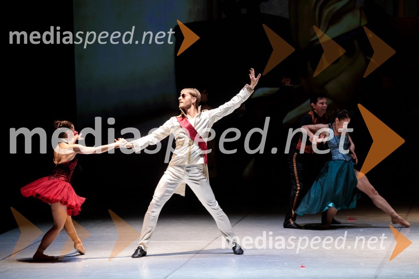 Nanine pesmi, glasbeno-plesna predstava