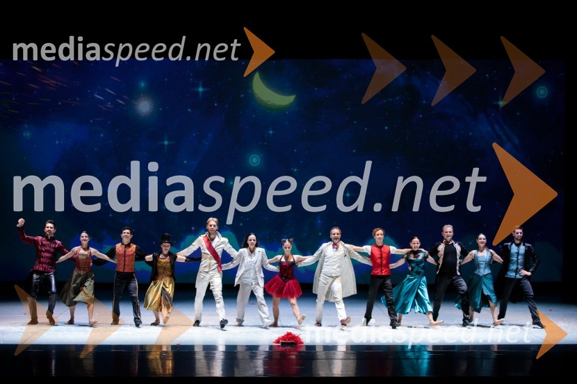 Nanine pesmi, glasbeno-plesna predstava