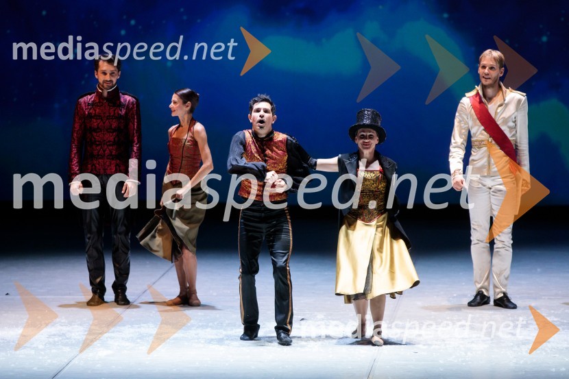 Nanine pesmi, glasbeno-plesna predstava