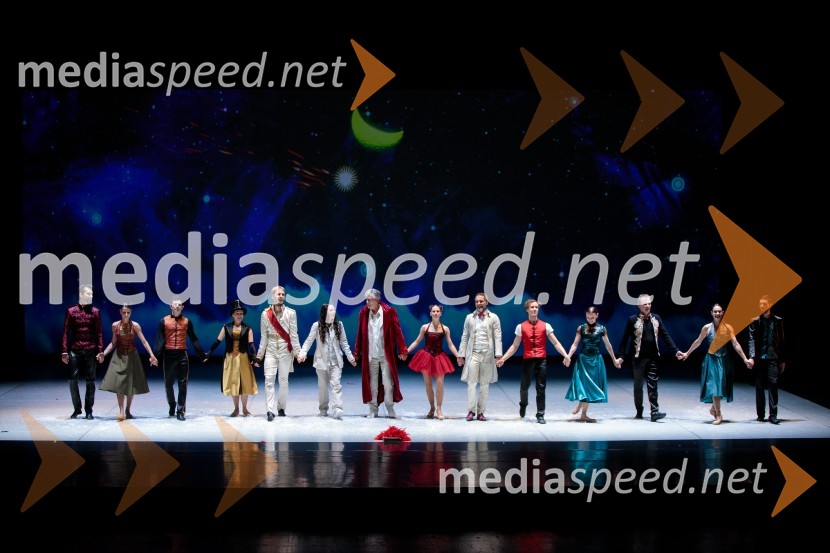 Nanine pesmi, glasbeno-plesna predstava