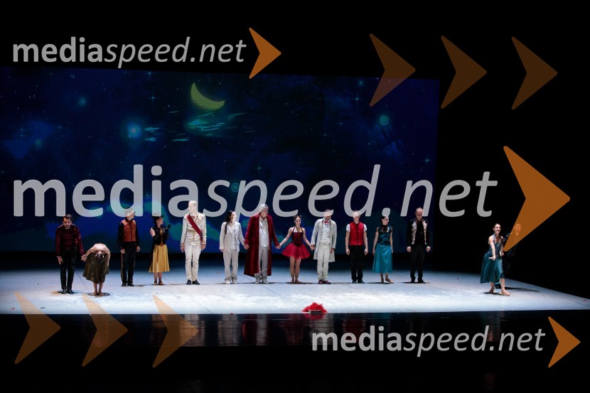 Nanine pesmi, glasbeno-plesna predstava