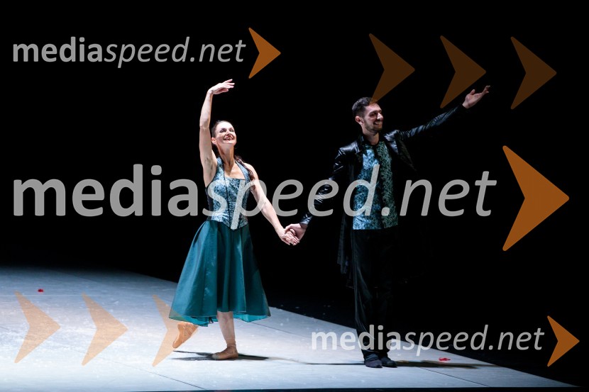 Nanine pesmi, glasbeno-plesna predstava