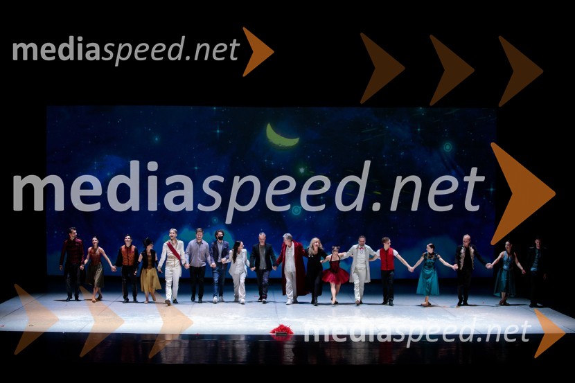 Nanine pesmi, glasbeno-plesna predstava